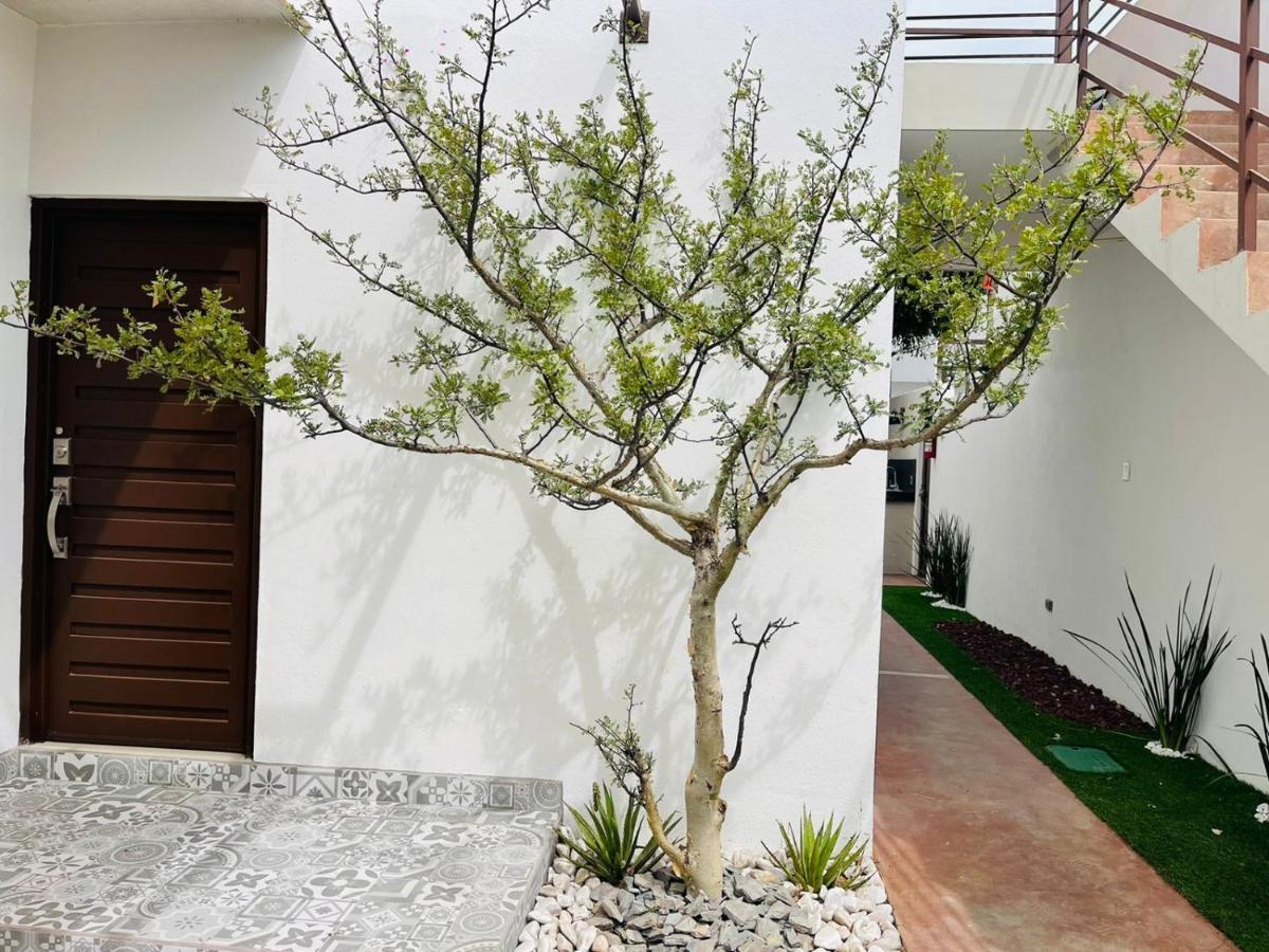 Casa Maya La Paz Exterior photo